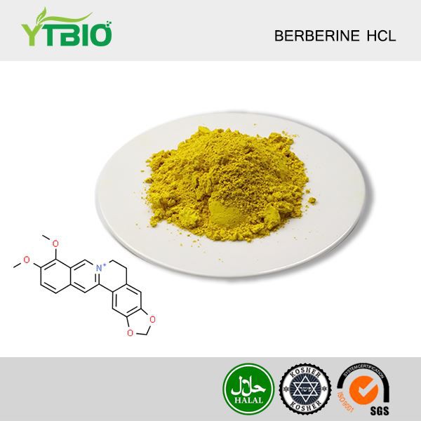 Berberine Hcl-pulver