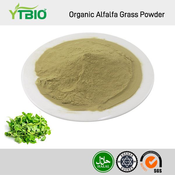 Ekologiskt alfalfa gräspulver