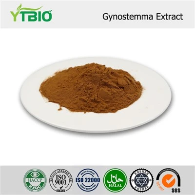 Gynostemma extraktpulver