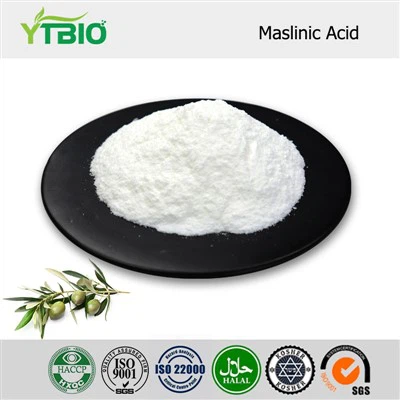 Maslinic Acid Pulver