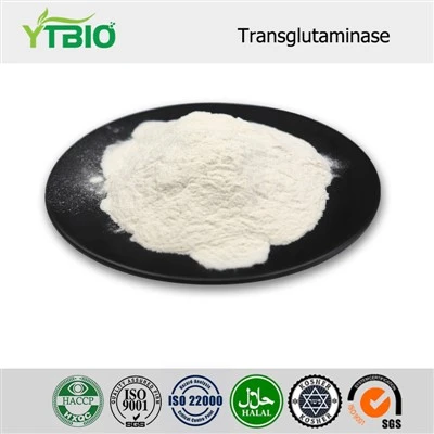Transglutaminas pulver