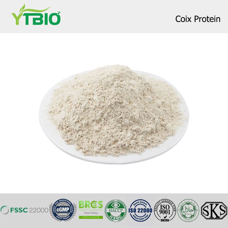 Coix Protein