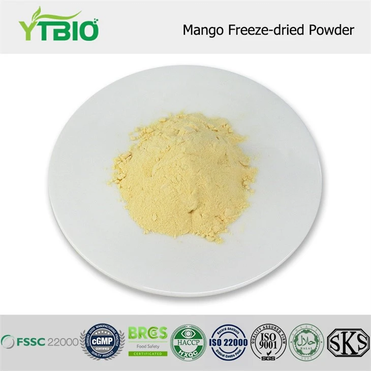 Mango frys-torkat pulver