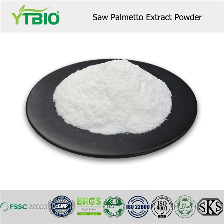 Såg palmetto -extraktpulver