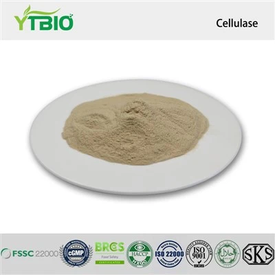 Cellulas